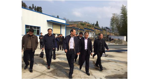 County Jiang Chunsheng line and his party went to the factory for a field trip